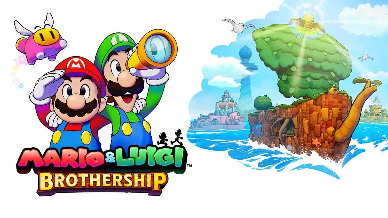 MARIO LUIGI BROTHERSHIP SWITCH